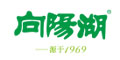 (yng)logo